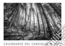 Cansiglio, la foresta nel cuore. Calendario del Cansiglio 2019 libro di Modolo Massimiliano; Amici del Cansiglio (cur.)