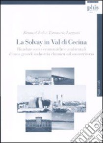 La Solvay in Val di Cecina. Ricadute socio-economiche e ambientali di una grande industria chimica sul suo territorio libro di Cheli Bruno; Luzzati Tommaso