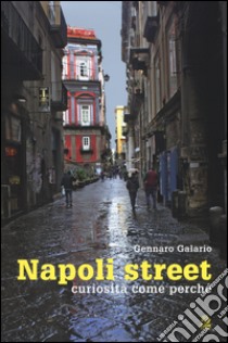 Napoli street. Curiosità, come, perché. Ediz. illustrata libro di Galario Gennaro