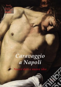 Caravaggio a Napoli. Nuovi dati nuove idee. Ediz. illustrata libro di Terzaghi M. C. (cur.)