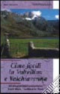 Cime facili in Valtellina e Valchiavenna. 60 itinerari escursionistici tra il Mera, l'Adda e lo Spol libro di Vannuccini Mario