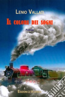 Il colore dei sogni libro di Vallati Lenio