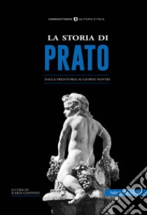 La storia di Prato. Dalla preistoria ai giorni nostri libro di Giannini I. (cur.)