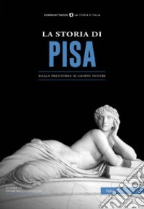 La storia di Pisa. Dalla preistoria ai giorni nostri libro di Coviello D. (cur.)