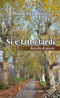 Si è fatto tardi libro di Rossi Domenico