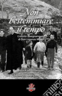 Non bestemmiare il tempo. L'ultimo insegnamento di Don Lorenzo Milani libro di Fabbiani Fabio; Passerotti S. (cur.)