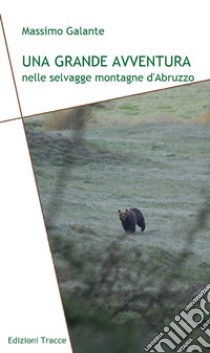 Una grande avventura nelle selvagge montagne d'Abruzzo. Ediz. illustrata libro di Galante Massimo