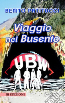 Viaggio nel Busento libro di Patitucci Benito