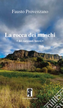 La rocca dei maschi. 44 racconti brevi libro di Provenzano Fausto