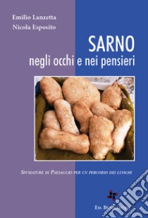 Sarno negli occhi e nei pensieri. Sfumature di paesaggio per un percorso dei luoghi. Ediz. illustrata libro di Lanzetta Emilio; Esposito Nicola