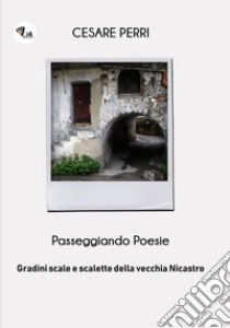 Passeggiando poesie. Gradini, scale e scalette della vecchia Nicastro. Nuova ediz. libro di Perri Cesare