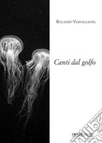 Canti dal golfo libro di Vernaglione Rolando