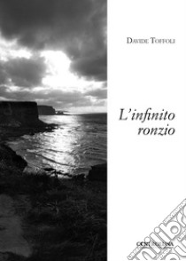 L'infinito ronzio libro di Toffoli Davide