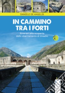 In cammino tra i forti. Itinerari alla scoperta dello sbarramento di Vinadio libro di De Angelis Daniele