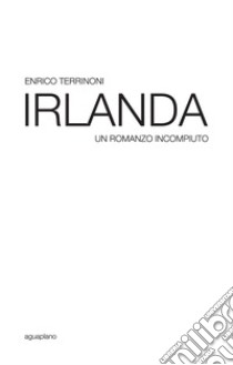 Irlanda. Un romanzo incompiuto libro di Terrinoni Enrico