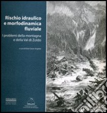 Rischio idraulico e morfodinamica fluviale. I problemi della montagna e della valle di Zoldo libro di Cason Angelini Ester