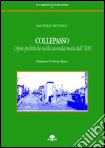 Collepasso. Opere pubbliche nella seconda metà dell'800 libro di Paturzo Maurizio