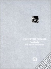 Sentinelle della pittura libro di Pozzati Concetto