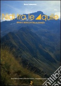 Nidi tra le aquile. Rifugi e bivacchi della Granda libro di Vallepiano Bruno