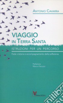 Viaggio in Terrasanta. Istruzioni per un percorso. Fede cristiana e accompagnamento della sofferenza libro di Cavarra Antonio