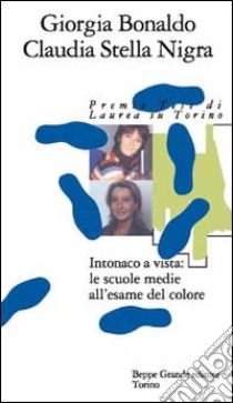 Intonaco a vista: le scuole medie all'esame del colore libro di Bonaldo Giorgia; Nigra Claudia S.