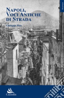 Napoli, voci antiche di strada libro di Pica Giuseppe