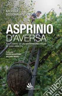 Asprinio D'Aversa. Racconto di un matrimonio Felix di 3000 anni fa libro di Scognamiglio Michele