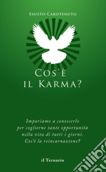 Cos'è il karma? Impariamo a conoscerlo. Cos'è la reincarnazione? libro di Carotenuto Fausto