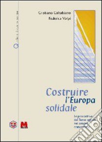 Costruire l'Europa solidale. Le prospettive del terzo settore nel progetto comunitario libro di Caltabiano Cristiano; Volpi Federica; Nanni A. (cur.)