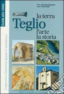 Teglio. La terra, l'arte, la storia. Il fondovalle e il versante orobico libro di Garbellini Gianluigi