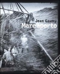 Mare aperto libro di Gaumy Jean