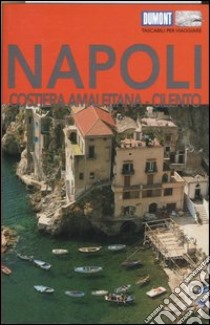 Napoli. Costiera amalfitana. Cilento libro di Vitiello Gabriella; Helbert Frank