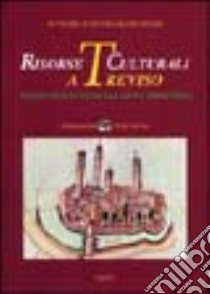 Risorse culturali a Treviso. Ipotesi progettuali tra arte e territorio libro di Dezuanni E. (cur.)