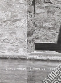 Markus Wespi-Jérôme De Meuron. Ediz. italiana e inglese libro di Caruso Alberto