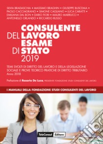 Consulente del lavoro. Esame di Stato 2019 libro