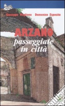 Arzano. Passeggiate in città. Ediz. illustrata libro di Esposito Domenico