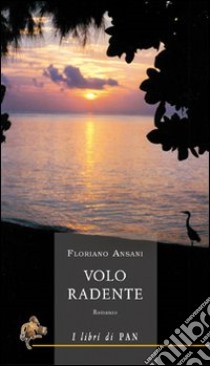 Volo radente libro di Ansani Floriano