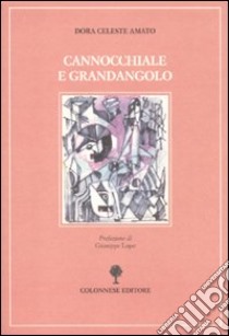 Cannocchiale e grandangolo libro di Amato Dora C.