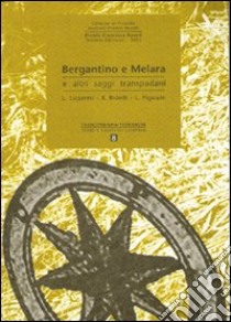 Bergantino e Melara e altri saggi transpadani libro di Lugaresi Luigi; Ridolfi Raffaele; Pigaiani Luciano