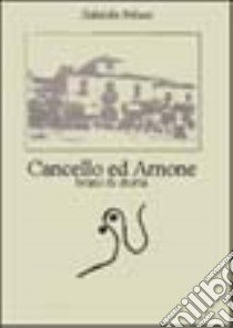 Cancello ed Arnone. Brani di storia libro di Peluso Gabriele