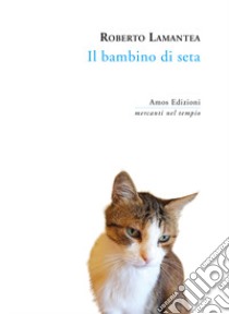 Il bambino di seta libro di Lamantea Roberto