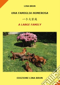 Una famiglia numerosa. Ediz. italiana, cinese e inglese libro di Brun Lina