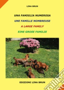 Una famiglia numerosa-Une famille nombreuse-A large family-Eine grabe familie. Ediz. multilingue libro di Brun Lina