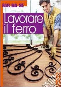 Lavorare il ferro libro