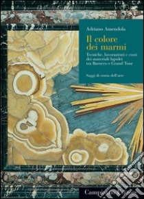 Il colore dei marmi. Tecniche, lavorazioni e costi dei materiali lapidei tra Barocco e Grand Tour. Ediz. illustrata libro di Amendola Adriano