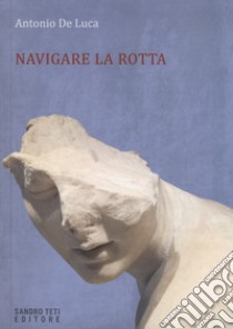 Navigare la rotta libro di De Luca Antonio