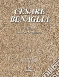 Cesare Benaglia. Trittici vita arte natura. Ediz. illustrata libro di Montalto Domenico