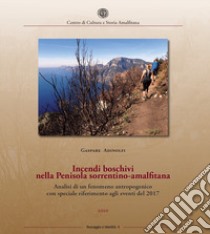 Incendi boschivi nella Penisola sorrentino-amalfitana. Analisi di un fenomeno antropogenico con speciale riferimento agli eventi del 2017 libro di Adinolfi Gaspare