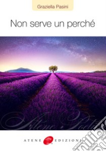 Non serve un perché libro di Pasini Graziella