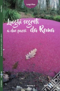 Luoghi segreti a due passi da Roma. Vol. 2 libro di Plos Luigi